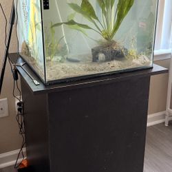 35 Gallon Frameless Tank 