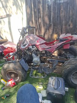 Quad