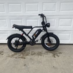 Electric Bike
