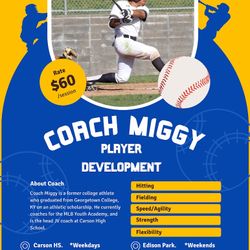 Baseball Player Development 