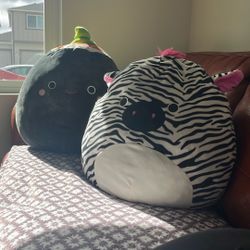 Squishmallows 