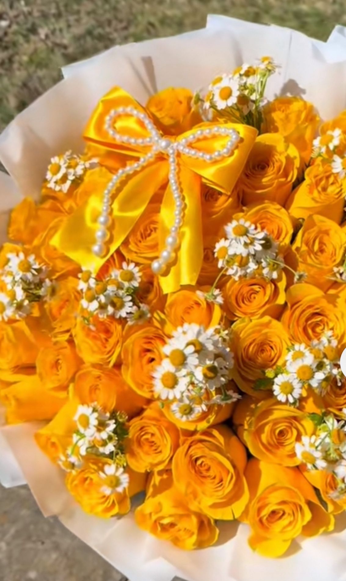 50 Yellow Roses Mix Bouquet Rosas Amarillas 50 Mix Ramo Buchon