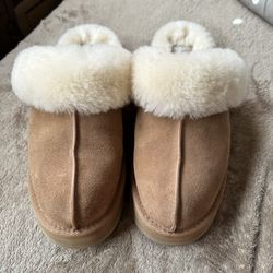 Disquette UGG Slippers  