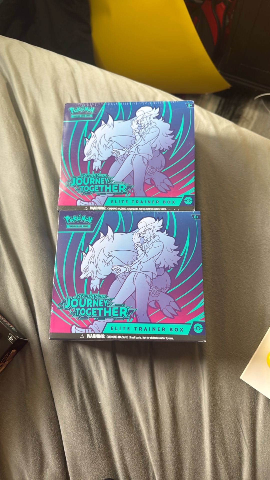 Pokémon Journey Together ETBS