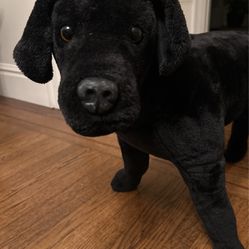 Black Stuffed Animal Dog 