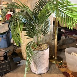 Faux Plant