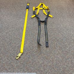 Guardian Series 1 Harness And Lanyard