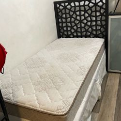 Twin Beds  2.   1king  