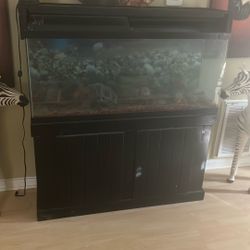 55gallon 
