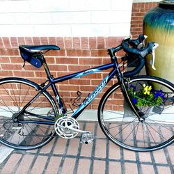 Specialized Road Bike