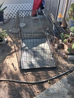 Dog kennels
