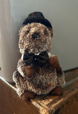TY 2007 Punxsutawney Phil Plush 