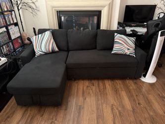 Sofa Bed With Chase Storage 