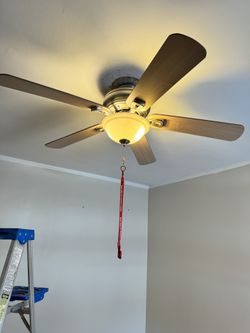 Fan With Light 