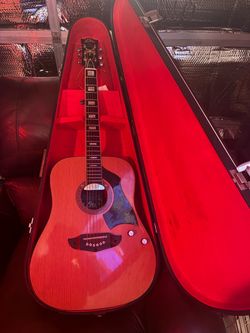 Eko Rio Bravo w/ Vox teardrop case trades4anystuffofslightkygreaterresellablevalue