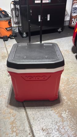 Igloo cooler