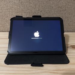 iPad Mini 256GB (6th Generation)