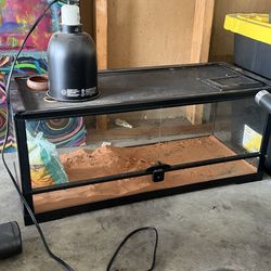 20 gallon terrarium