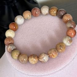 Natural Fossilized Coral 