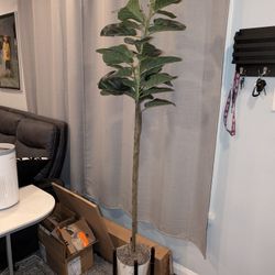 Tall Plant (Fake)