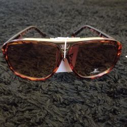 Designer Sunglass 