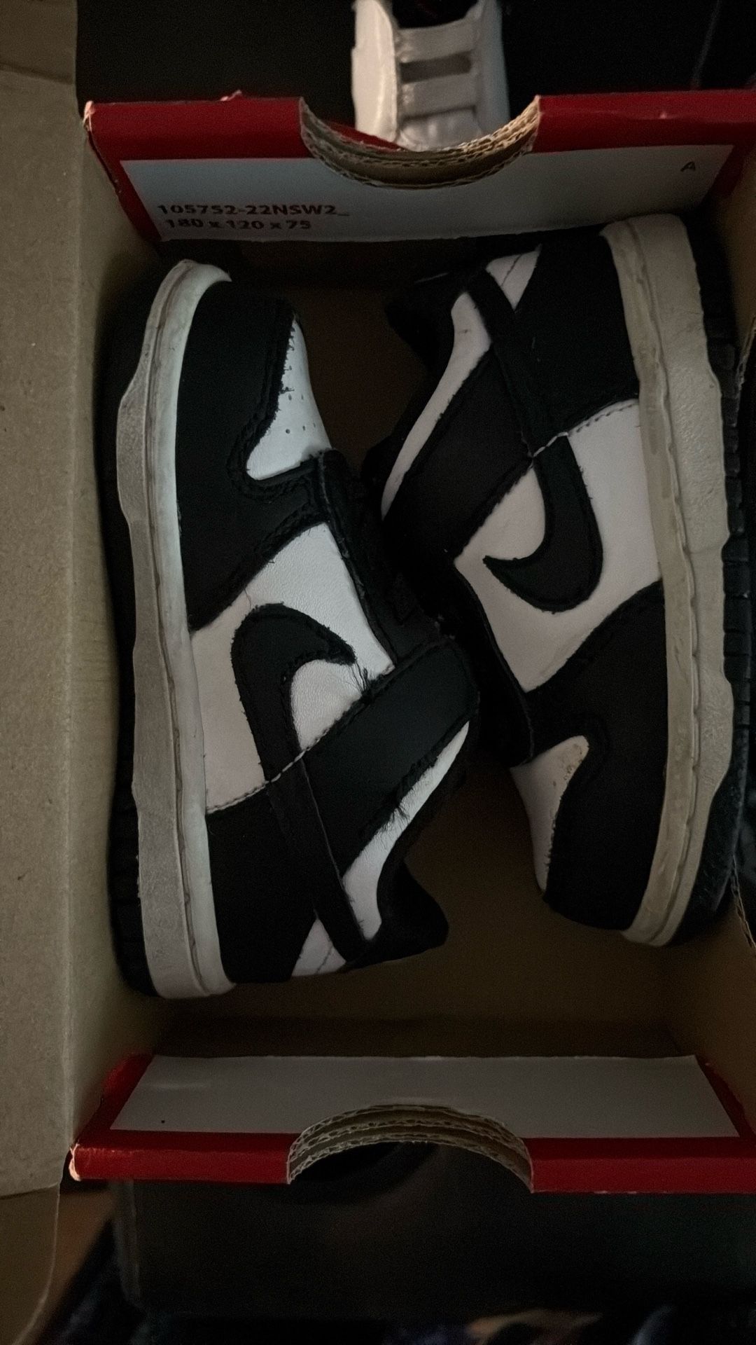 Dunks 6c