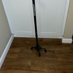 4 Prong Cane