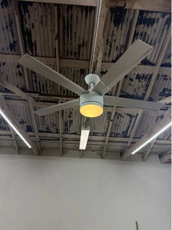 White Fans