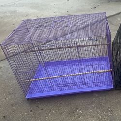 Bird Cage /Jaula  De Pájaros 