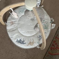 aden + anais Baby Activity Gym