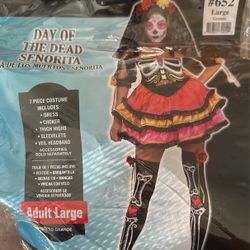 Day Of The Dead Adult Large