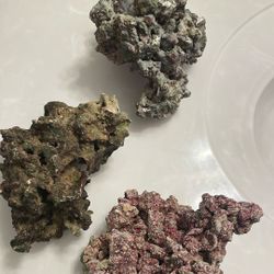 Live Rock for Aquarium 