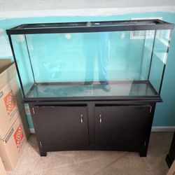 60 Gallon Aquarium With Stand
