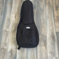 Guitar Case