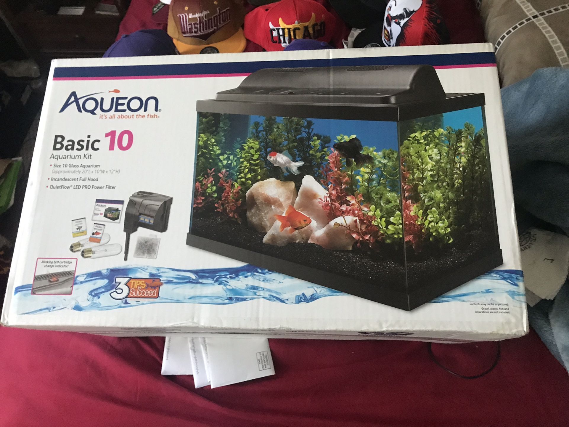 10 Gallon Fish Tank