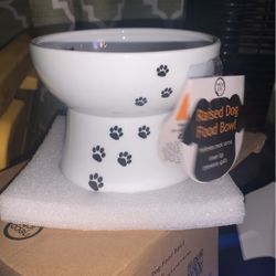 Raised Dog Food Bowl
