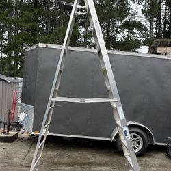 Werner 10ft Aluminum Folding Platform Ladder