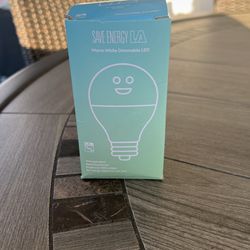 Light Bulb White Led 