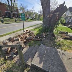 Free Wood 206 E Hudson St Columbus 43202