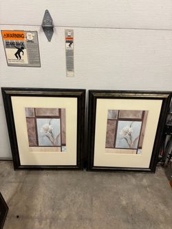 Pair of Framed Floral Flower Pictures Wall Art Decor
