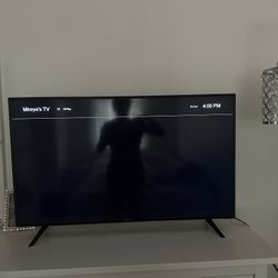 40 Inch Tv Vizio