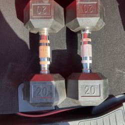 2x 20 LB Dumbbells