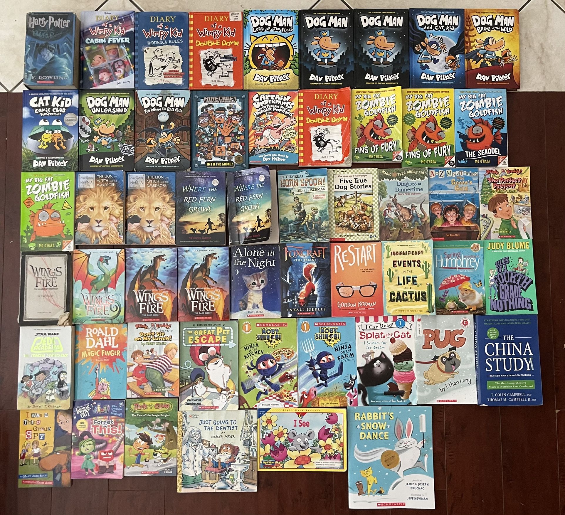 53 Hardcover and Softcover Books! Harry Potter, Diary of a Wimpy Kid, Dogman, WoF, etc! All Ages!