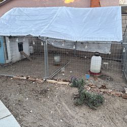 Complete chicken coop set up! Everything included!