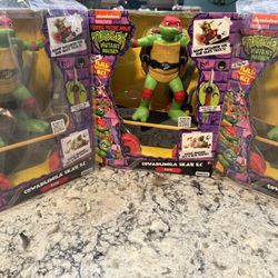 Teenage Mutant Ninja Turtle Radio Control Figure (Brand New)