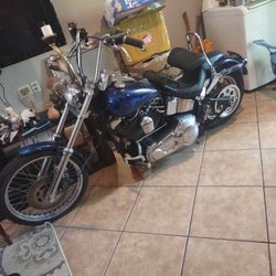 1(contact info removed) CC Bjke Picac Green