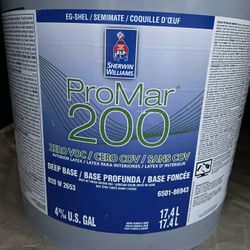 5 Gallons Paint