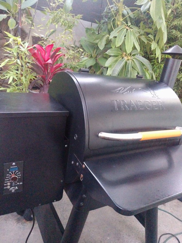 Traeger Renegade Pro