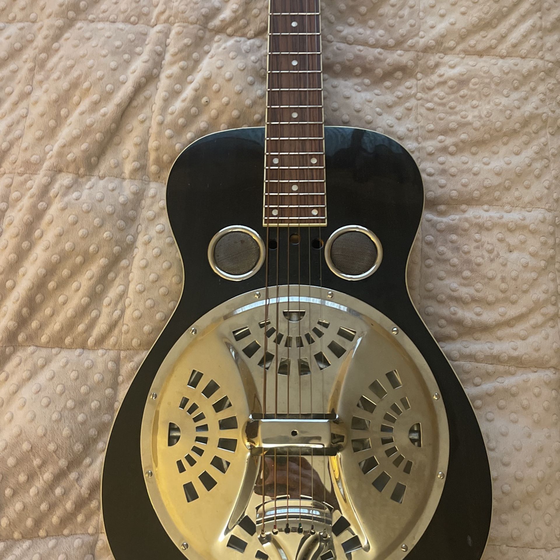 Gorgeous/Unique Acoustic Guitar-Regal-w/resonator
