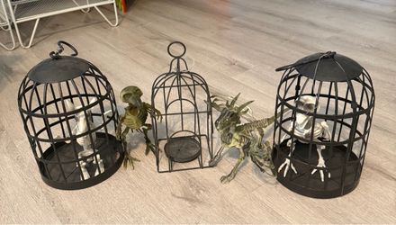 Halloween Decorations